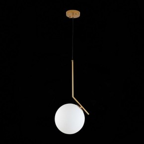 Подвесной светильник ST-Luce Codda SL1148.303.01 в Надыме - nadym.mebel24.online | фото 6