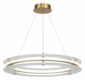 Подвесной светильник ST-Luce FAGY SL6245.203.01 в Надыме - nadym.mebel24.online | фото 2