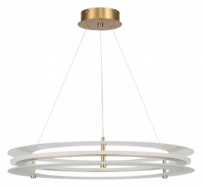 Подвесной светильник ST-Luce FAGY SL6245.203.01 в Надыме - nadym.mebel24.online | фото 3