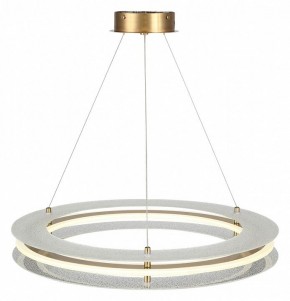 Подвесной светильник ST-Luce FAGY SL6245.203.01 в Надыме - nadym.mebel24.online | фото 4