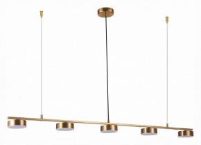 Подвесной светильник ST-Luce Pances SL6000.303.05 в Надыме - nadym.mebel24.online | фото 2