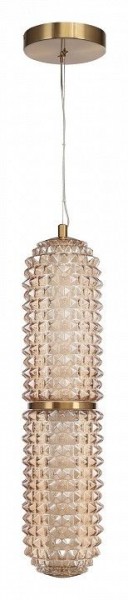 Подвесной светильник ST-Luce SAGUARO SL6144.303.01 в Надыме - nadym.mebel24.online | фото 3