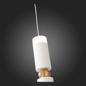 Подвесной светильник ST-Luce Tuore SL1592.503.01 в Надыме - nadym.mebel24.online | фото 5
