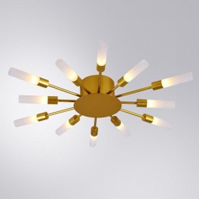 Потолочная люстра Arte Lamp Maple A1276PL-12GO в Надыме - nadym.mebel24.online | фото 1