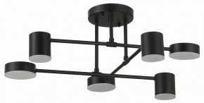 Потолочная люстра EVOLUCE Nobel SLE201042-06 в Надыме - nadym.mebel24.online | фото 11