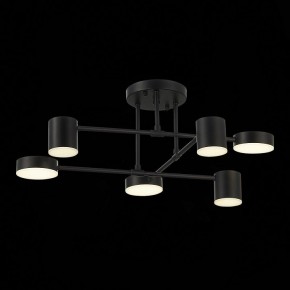 Потолочная люстра EVOLUCE Nobel SLE201042-06 в Надыме - nadym.mebel24.online | фото 13