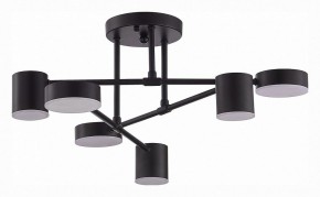 Потолочная люстра EVOLUCE Nobel SLE201042-06 в Надыме - nadym.mebel24.online | фото 3