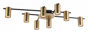 Потолочная люстра Favourite Topper 2827-8P в Надыме - nadym.mebel24.online | фото 2