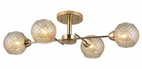 Потолочная люстра Rivoli Amalia Б0050815 в Надыме - nadym.mebel24.online | фото 3