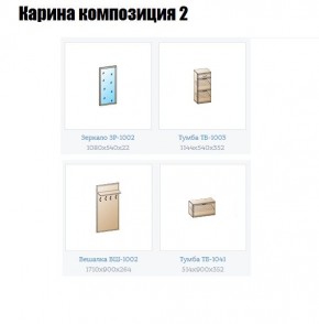 Прихожая Карина (модульная) в Надыме - nadym.mebel24.online | фото 6