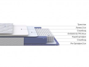 PROxSON Матрас Active Duo S/F (Ткань Трикотаж Эко) 140x195 в Надыме - nadym.mebel24.online | фото 2