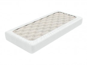 PROxSON Защитный чехол Aqua Save Light S (Ткань влагостойкая Tencel Jersey) 90x190 в Надыме - nadym.mebel24.online | фото 2