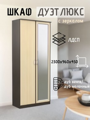 Шкаф 2-х створчатый Дуэт Люкс с зеркалом в Надыме - nadym.mebel24.online | фото 1