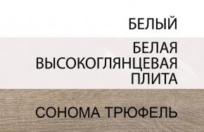 Шкаф 2D/TYP 20A, LINATE ,цвет белый/сонома трюфель в Надыме - nadym.mebel24.online | фото 4
