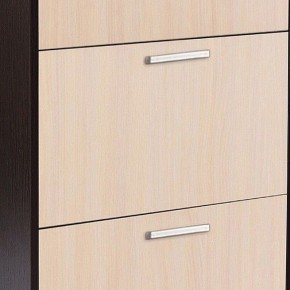 Шкаф для обуви УК-4 в Надыме - nadym.mebel24.online | фото 2