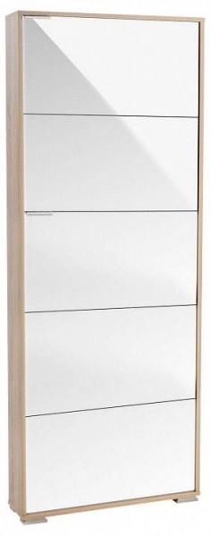 Шкаф для обуви Viva-5LW в Надыме - nadym.mebel24.online | фото