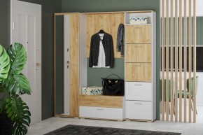 Шкаф для одежды НМ 013.40 "Санти" (Белый/Крафт Золотой) в Надыме - nadym.mebel24.online | фото 3