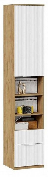Шкаф комбинированный Хилтон Исп. 2 в Надыме - nadym.mebel24.online | фото 4