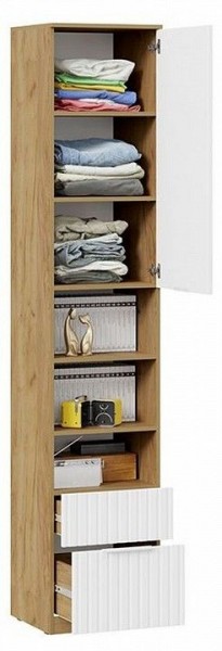 Шкаф комбинированный Хилтон Исп. 2 в Надыме - nadym.mebel24.online | фото 5