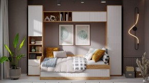 Шкаф комбинированный Хилтон Исп. 2 в Надыме - nadym.mebel24.online | фото 6