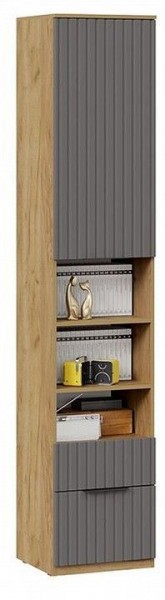 Шкаф комбинированный Хилтон Исп. 2 в Надыме - nadym.mebel24.online | фото 4