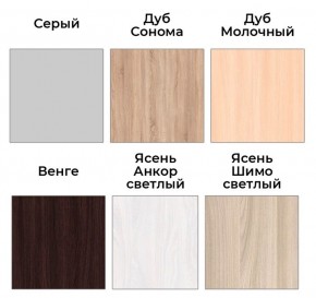 Шкаф-купе ХИТ 22-4-14-11 (420) в Надыме - nadym.mebel24.online | фото 5