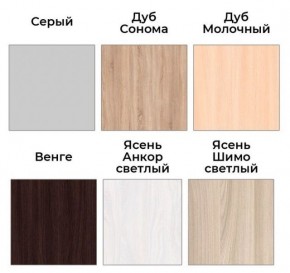 Шкаф-купе ХИТ 22-4-17-55 (420) в Надыме - nadym.mebel24.online | фото 3
