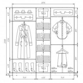 Шкаф-купе ХИТ 22-4-20-111 (420) в Надыме - nadym.mebel24.online | фото 2