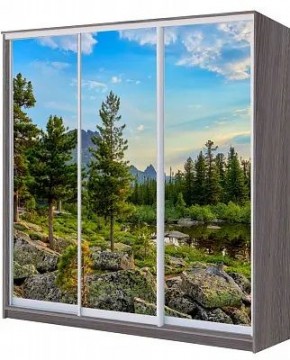 Шкаф-купе ХИТ 22-4-20/2-777 ПРИРОДА в Надыме - nadym.mebel24.online | фото