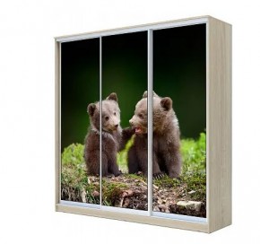 Шкаф-купе ХИТ 22-4-20-777 МЕДВЕЖАТА в Надыме - nadym.mebel24.online | фото