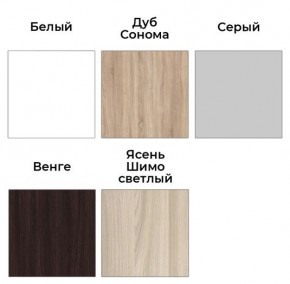 Шкаф-купе ХИТ 23-24/2-7777 (620) в Надыме - nadym.mebel24.online | фото 2