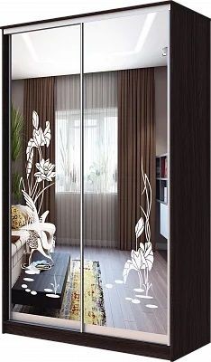 Шкаф-купе ХИТ 23-4-12/2-66 ЦАПЛИ в Надыме - nadym.mebel24.online | фото