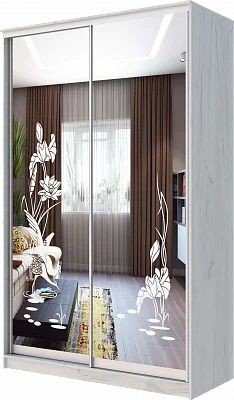 Шкаф-купе ХИТ 24-14-66 ЦАПЛИ в Надыме - nadym.mebel24.online | фото