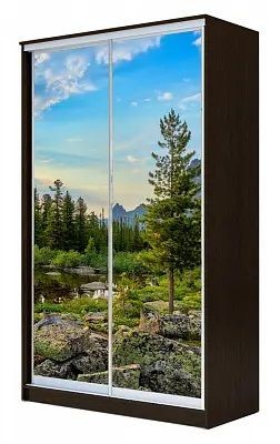 Шкаф-купе ХИТ 24-15-77 ПРИРОДА в Надыме - nadym.mebel24.online | фото