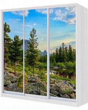 Шкаф-купе ХИТ 24-18/2-777 ПРИРОДА в Надыме - nadym.mebel24.online | фото