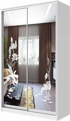 Шкаф-купе ХИТ 24-4-15-66 ЦАПЛИ в Надыме - nadym.mebel24.online | фото