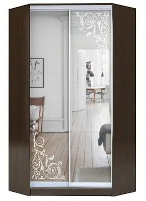 Шкаф-купе ХИТ-У-R-23-64-66 ОРНАМЕНТ в Надыме - nadym.mebel24.online | фото