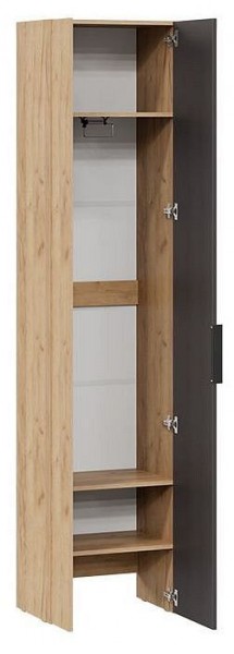 Шкаф платяной Асти в Надыме - nadym.mebel24.online | фото 2