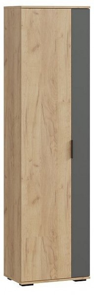 Шкаф платяной Эвита в Надыме - nadym.mebel24.online | фото
