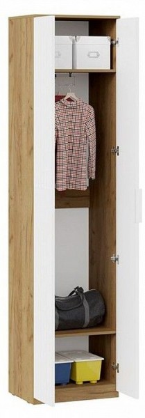 Шкаф платяной Хилтон Исп. 2 в Надыме - nadym.mebel24.online | фото 3