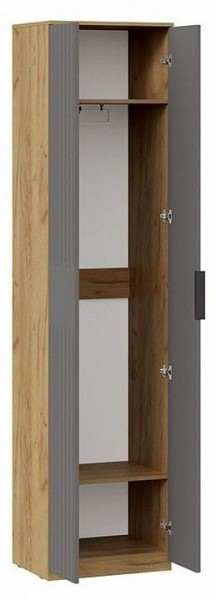 Шкаф платяной Хилтон Исп. 2 в Надыме - nadym.mebel24.online | фото 2