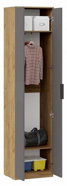 Шкаф платяной Хилтон Исп. 2 в Надыме - nadym.mebel24.online | фото 3