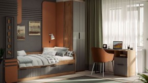 Шкаф платяной Хилтон Исп. 2 в Надыме - nadym.mebel24.online | фото 5