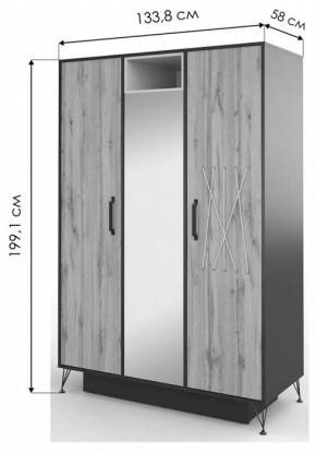 Шкаф платяной Нобира в Надыме - nadym.mebel24.online | фото 3