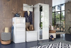 Шкаф платяной Норден СТЛ.413.01 в Надыме - nadym.mebel24.online | фото 4