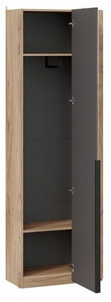 Шкаф платяной Порто СМ-393.07.232 в Надыме - nadym.mebel24.online | фото 2
