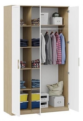 Шкаф платяной Сэнди в Надыме - nadym.mebel24.online | фото 3