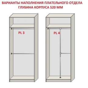 Шкаф распашной серия «ЗЕВС» (PL3/С1/PL2) в Надыме - nadym.mebel24.online | фото 10