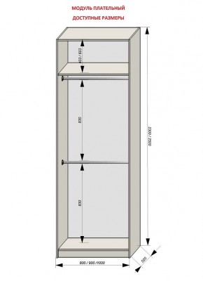 Шкаф распашной серия «ЗЕВС» (PL3/С1/PL2) в Надыме - nadym.mebel24.online | фото 12