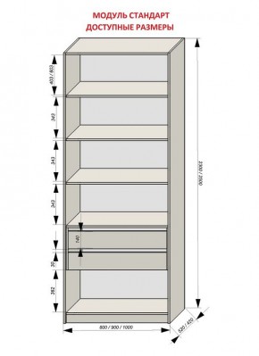 Шкаф распашной серия «ЗЕВС» (PL3/С1/PL2) в Надыме - nadym.mebel24.online | фото 13